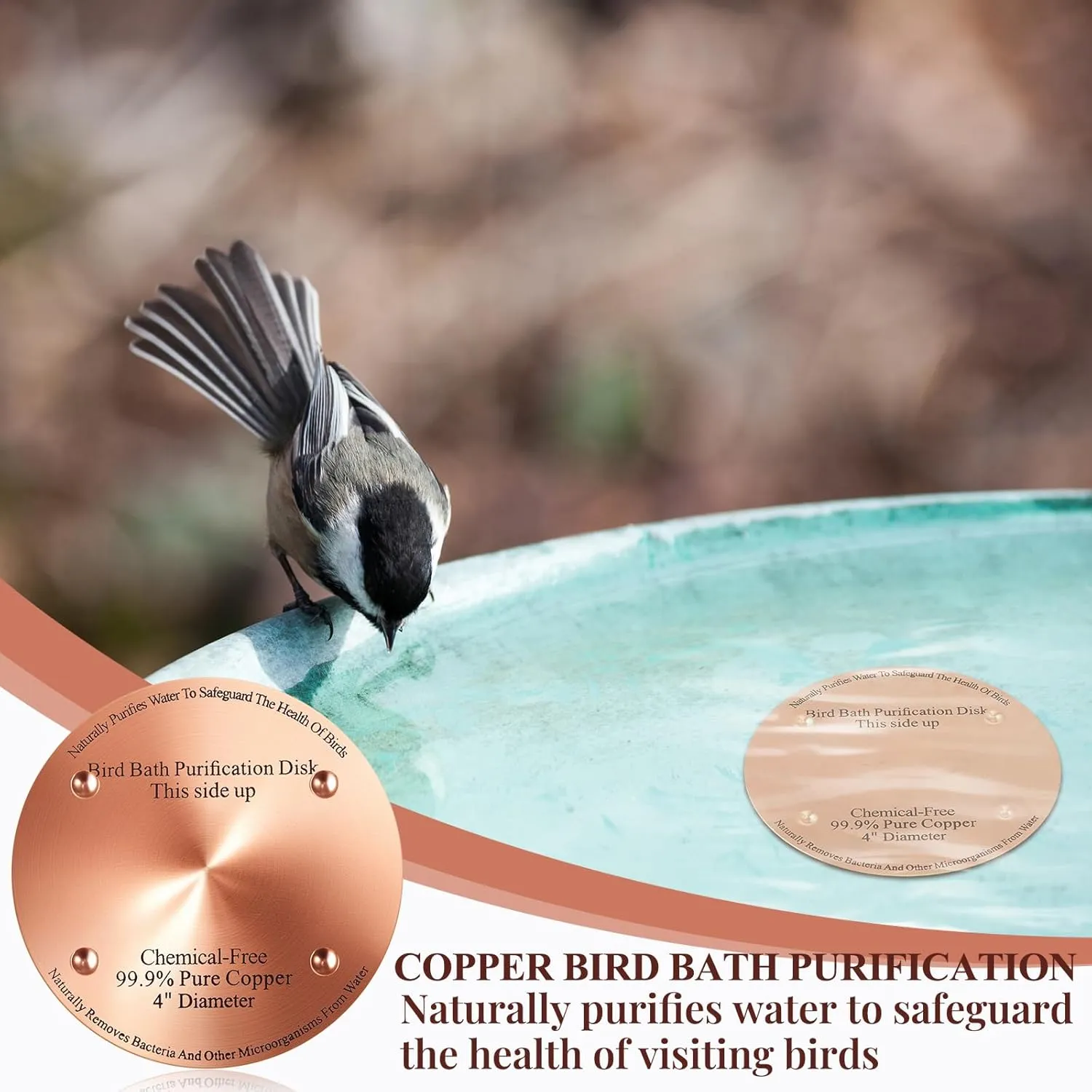 4 Pcs Copper Bird Bath Purification Disk 2mm Thick Reinforced Bird Bath Cleaner, 4 Inch in Diameter (Classic)