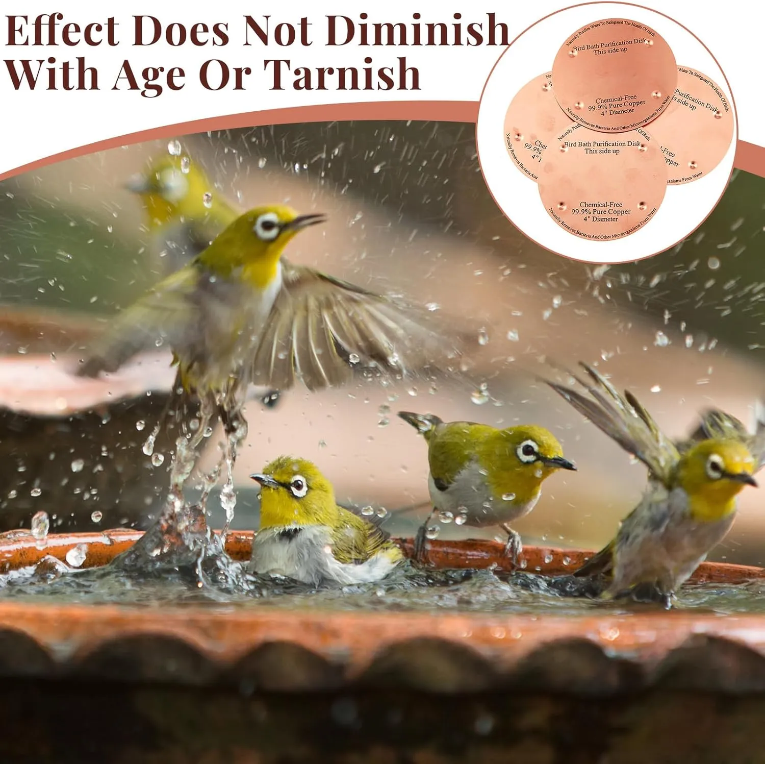 4 Pcs Copper Bird Bath Purification Disk 2mm Thick Reinforced Bird Bath Cleaner, 4 Inch in Diameter (Classic)