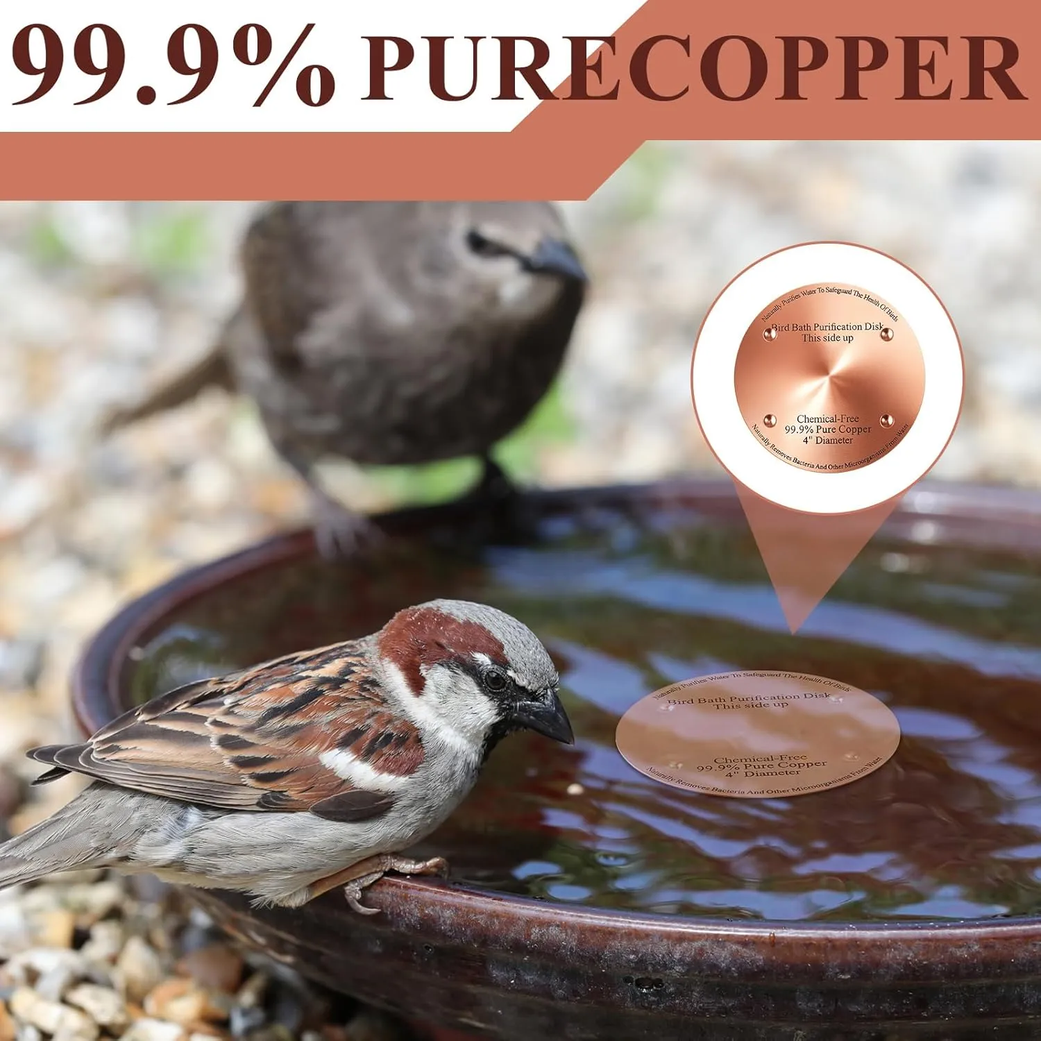 4 Pcs Copper Bird Bath Purification Disk 2mm Thick Reinforced Bird Bath Cleaner, 4 Inch in Diameter (Classic)