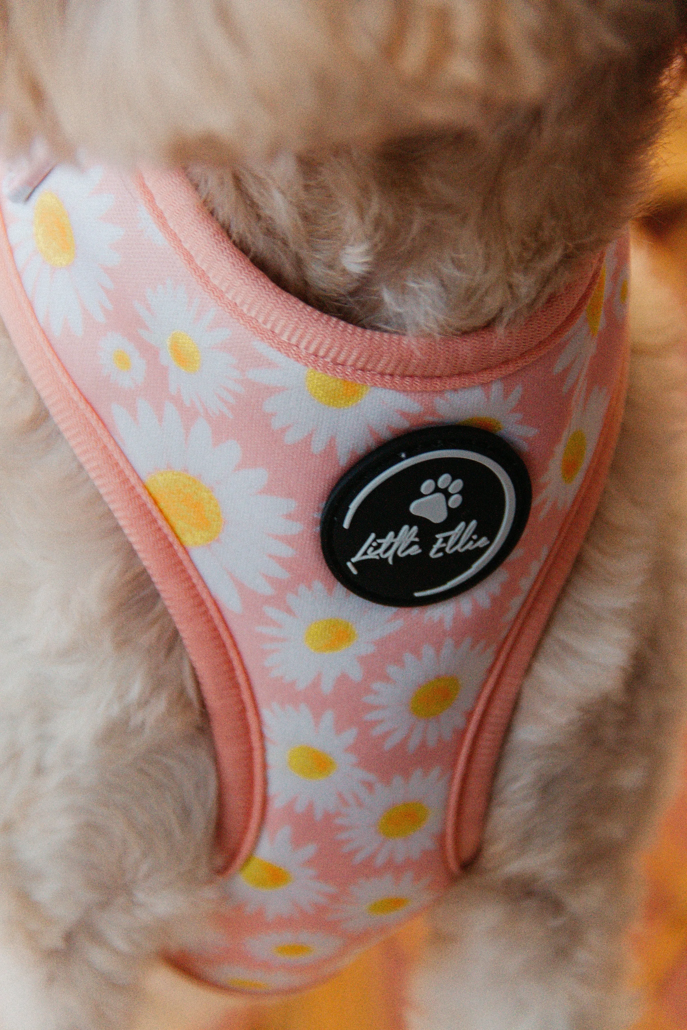 Adjustable Dog Harness | Field of Daisies