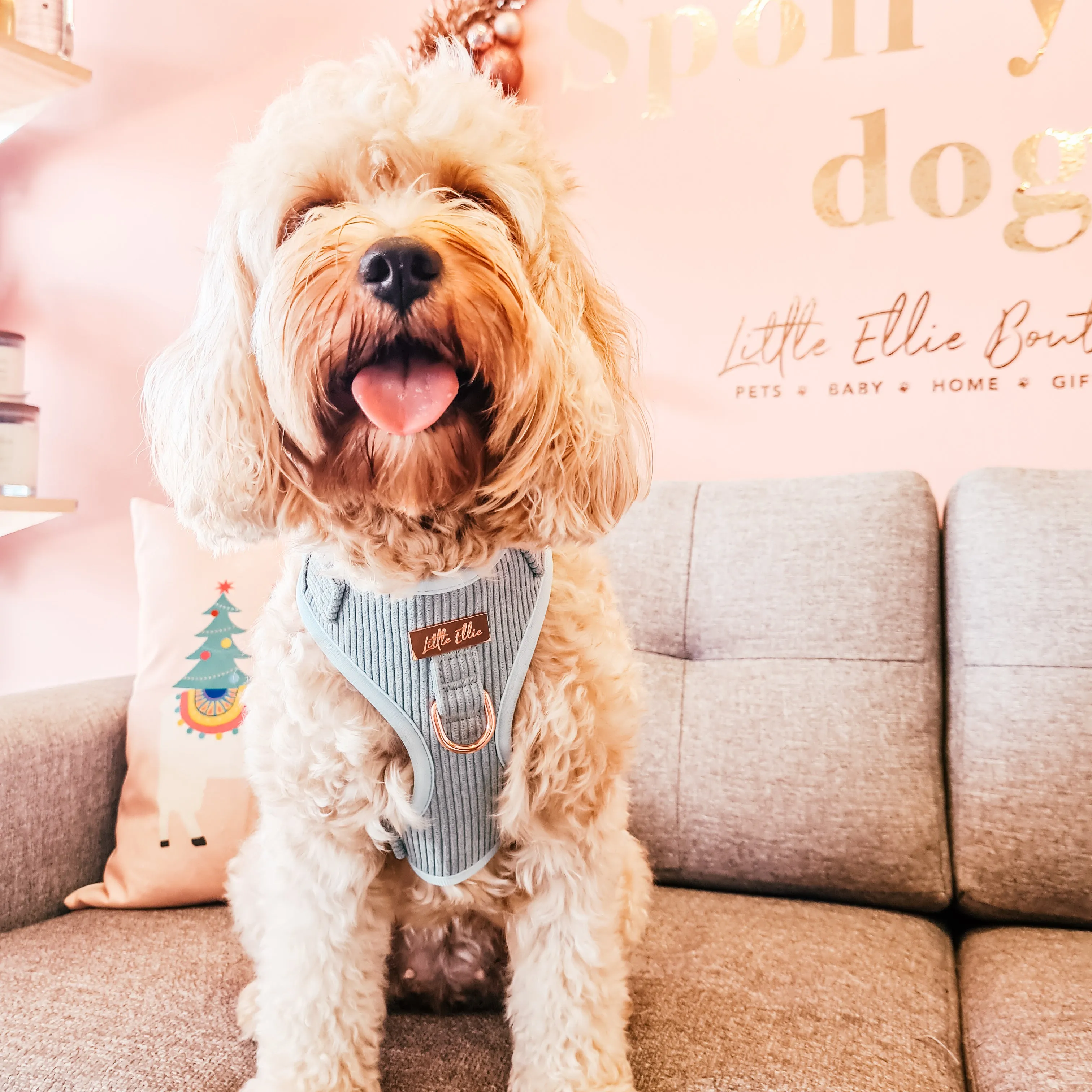 Adjustable Dog Harness LUXE| Sage Corduroy