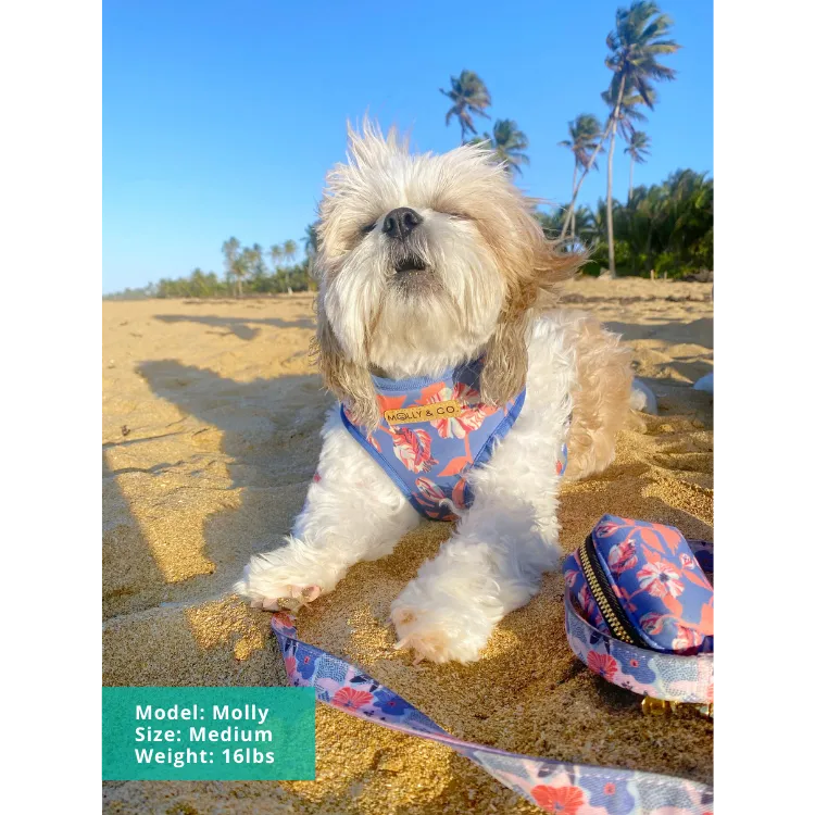 Always Blooming - Reversible Dog Harness - FINAL SALE