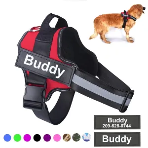 Anti-Escape Dog Harness with Name Embroidery – No-Pull, Personalized Safety Vest for Small to Large Dogs
