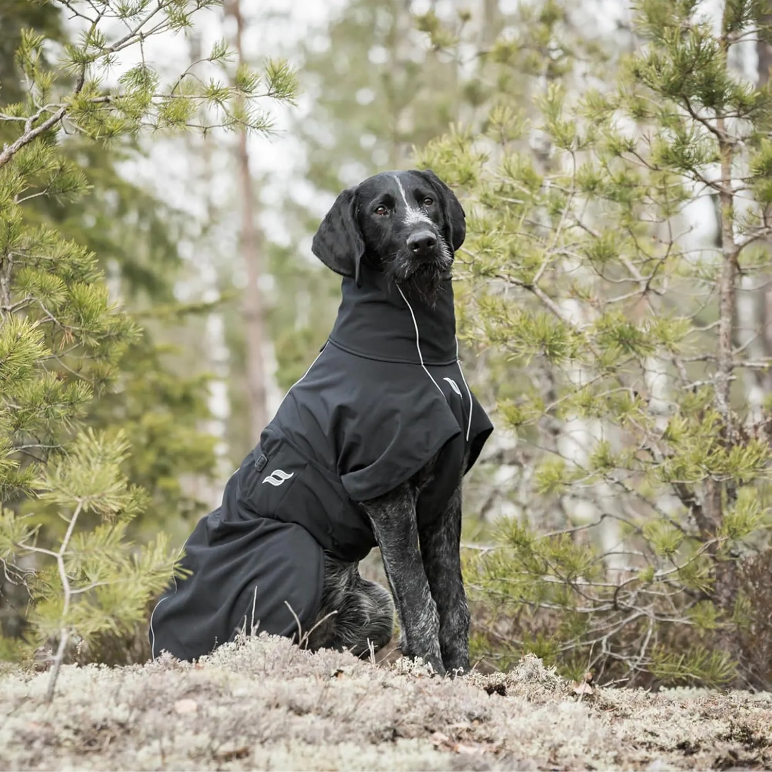 Back on Track Nella Therapeutic Low Tail Set Dog Coat with Reflective Details and Patterns - Ultimate Comfort & Protection for Active Dogs, Black, 60cm