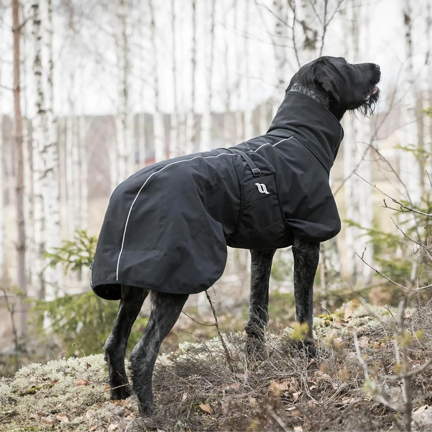 Back on Track Nella Therapeutic Low Tail Set Dog Coat with Reflective Details and Patterns - Ultimate Comfort & Protection for Active Dogs, Black, 60cm
