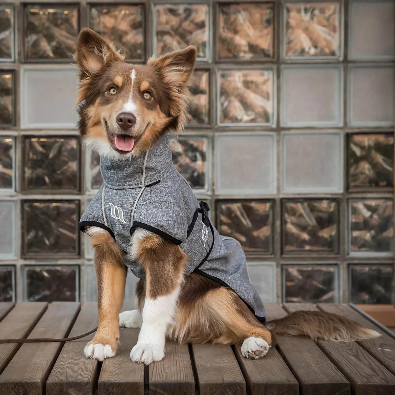 Back on Track Nella Therapeutic Low Tail Set Dog Coat with Reflective Details and Patterns - Ultimate Comfort & Protection for Active Dogs, Grey, 55cm