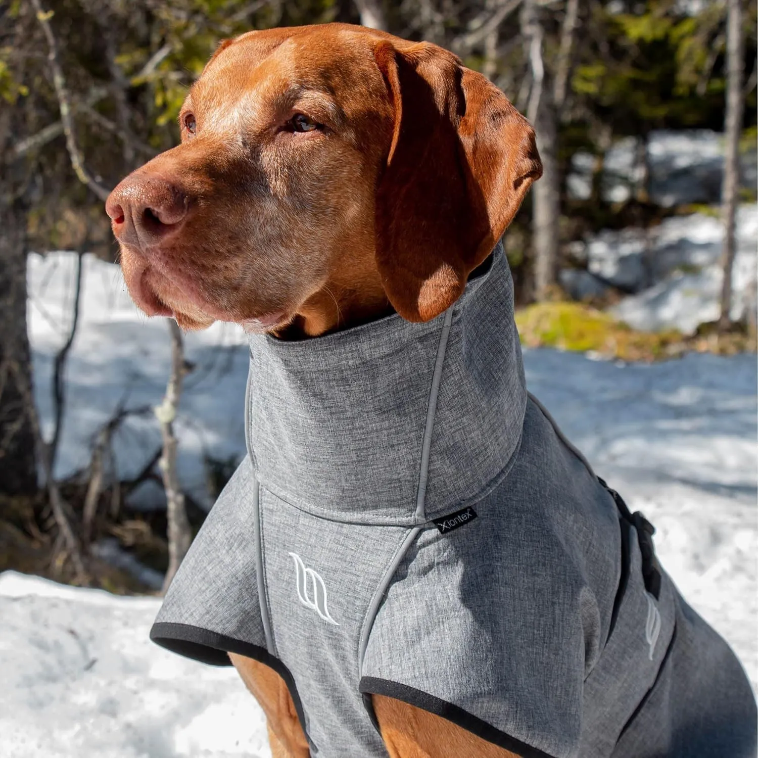 Back on Track Nella Therapeutic Low Tail Set Dog Coat with Reflective Details and Patterns - Ultimate Comfort & Protection for Active Dogs, Grey, 55cm