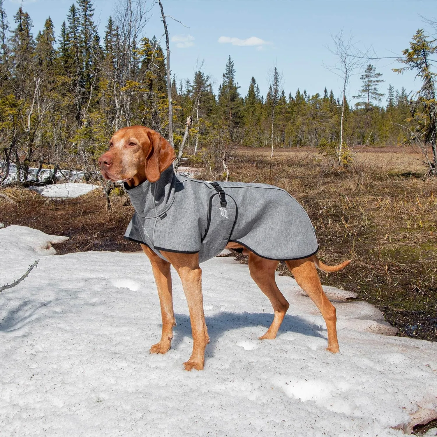 Back on Track Nella Therapeutic Low Tail Set Dog Coat with Reflective Details and Patterns - Ultimate Comfort & Protection for Active Dogs, Grey, 60cm