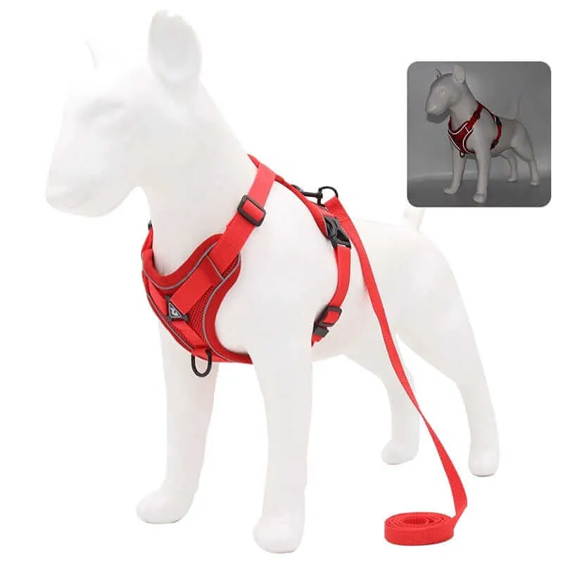 Best Adjustable Dog Harness and Leash
