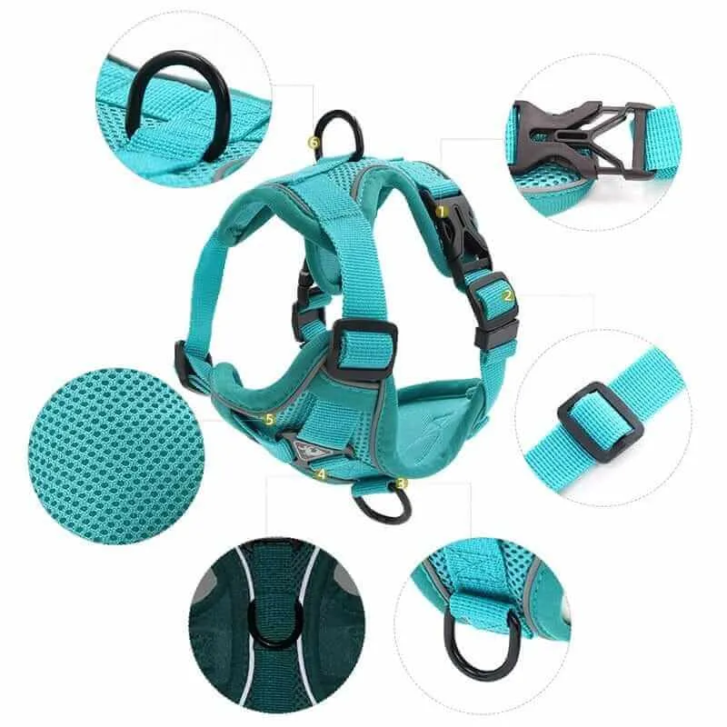 Best Adjustable Dog Harness and Leash