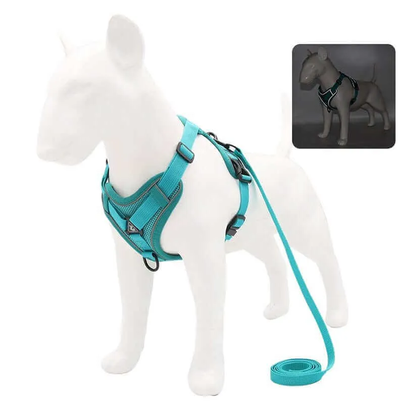 Best Adjustable Dog Harness and Leash