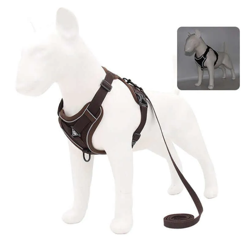 Best Adjustable Dog Harness and Leash