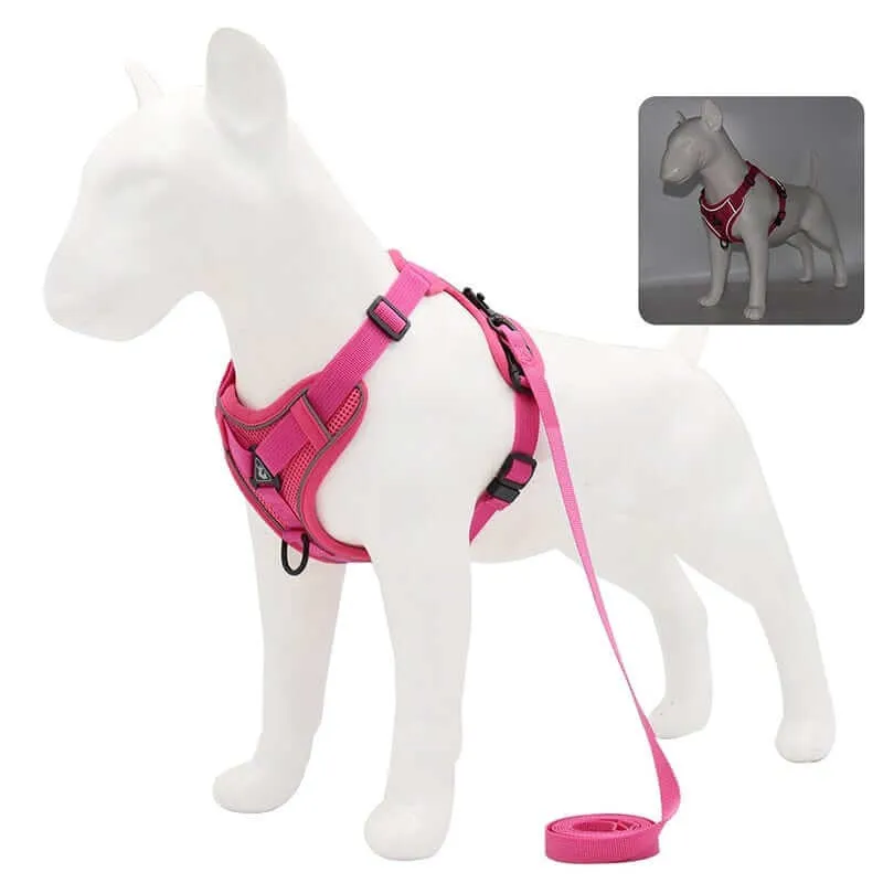 Best Adjustable Dog Harness and Leash