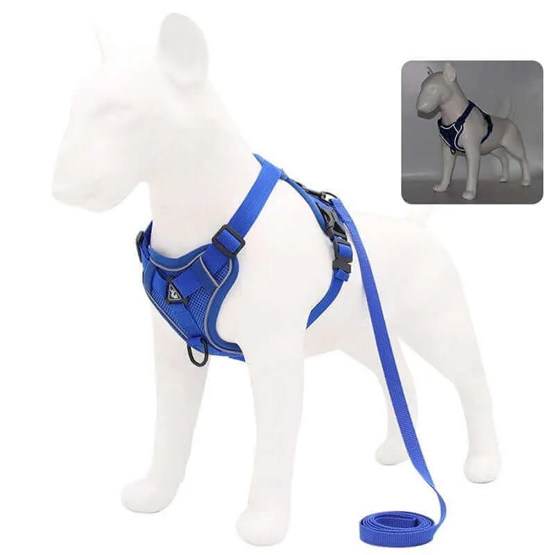 Best Adjustable Dog Harness and Leash