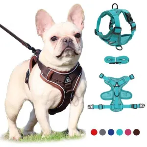 Best Adjustable Dog Harness and Leash