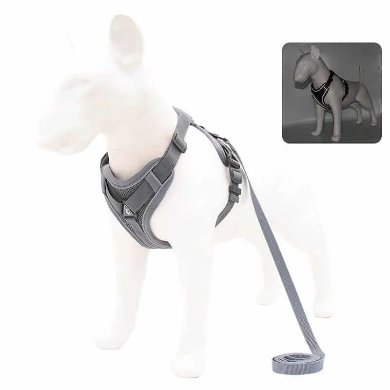 Best Adjustable Dog Harness and Leash