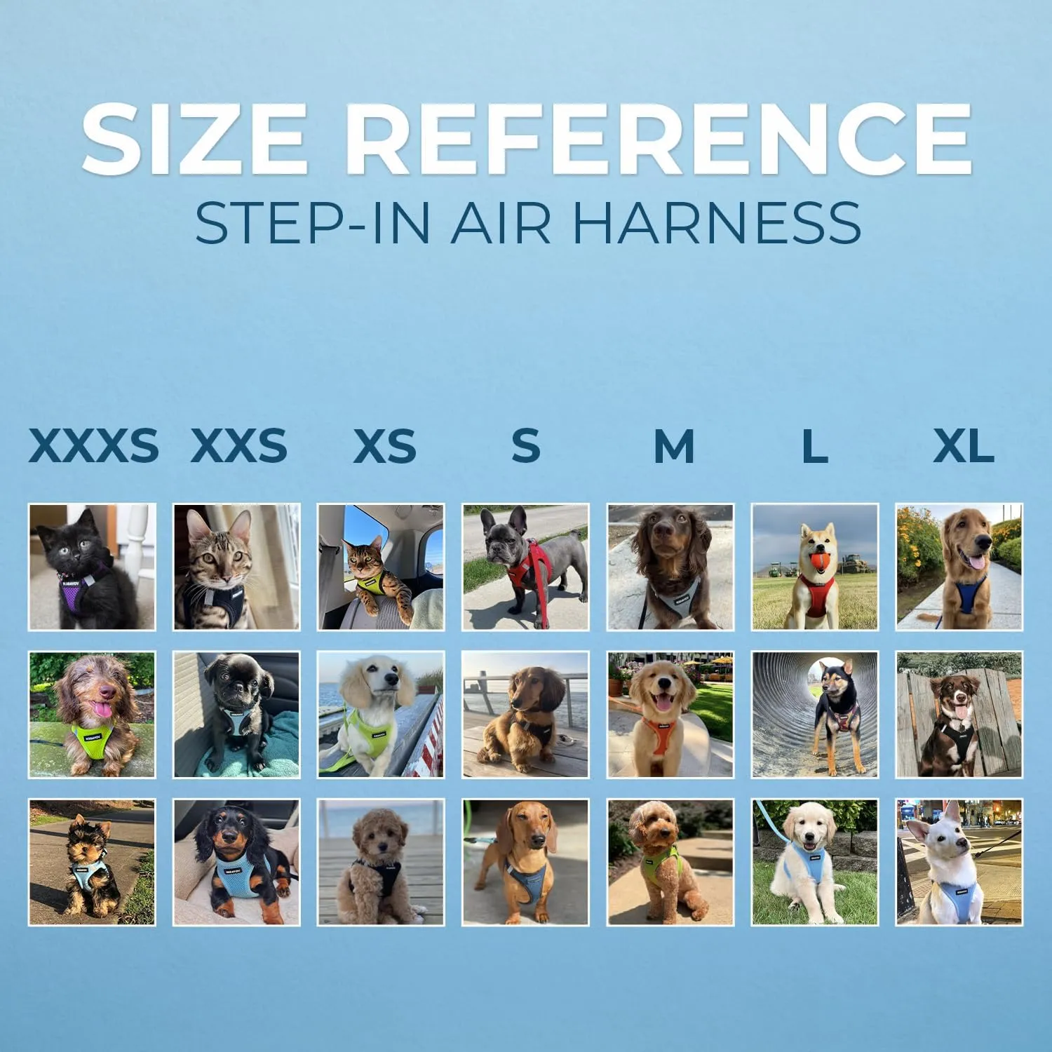 Best Pet Supplies Voyager Step-in Air Dog Harness - All Weather Mesh, Reflective, No Pull Harness for Small, Medium Dogs, Cats - Secure with Hook & Loop Fastener, Buckle, Double D-Rings - Black, M