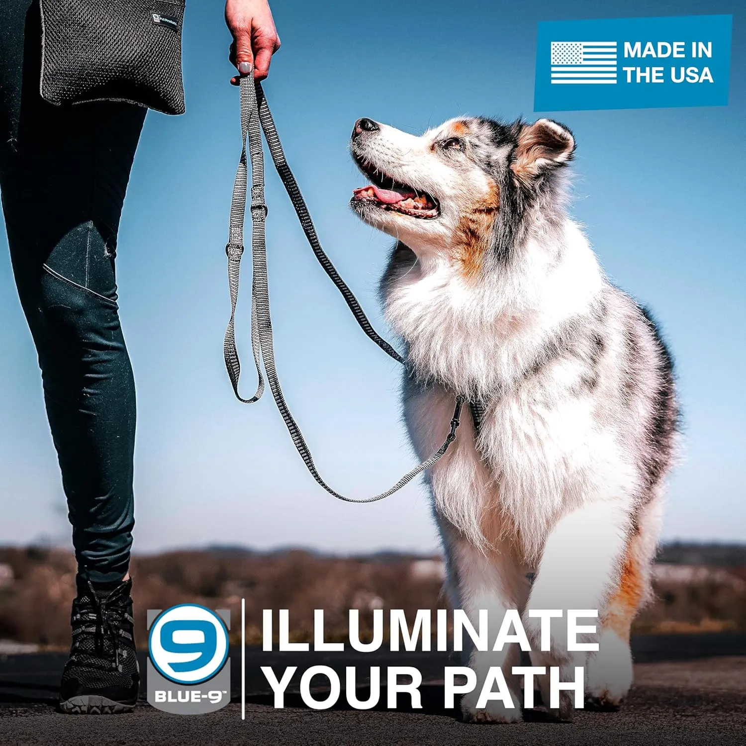 Blue-9 Reflective Multi-Function Dog Leash, Double Attachment Adjustable Lead for Obedience Training and Running, 6 Feet, Made in The USA, Small/Medium, Blue