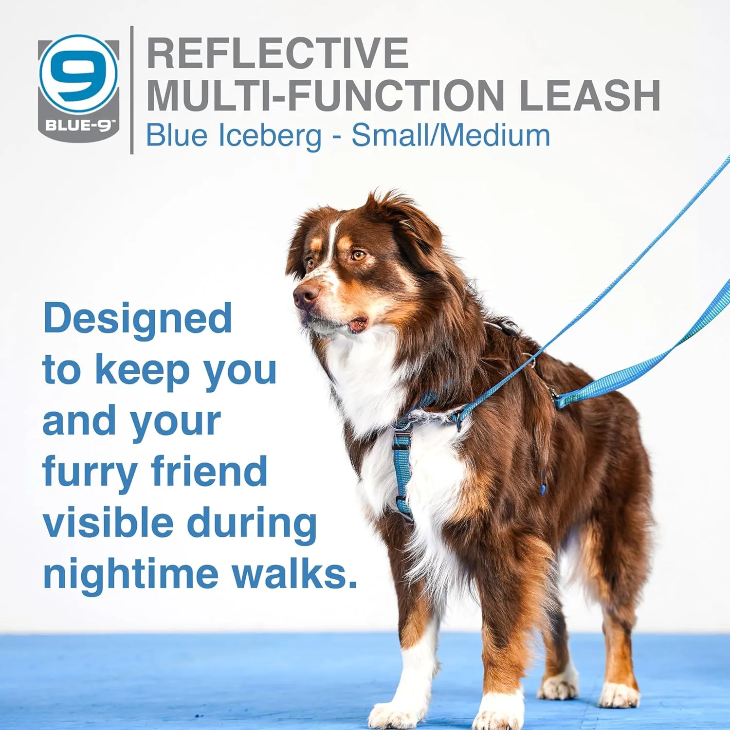 Blue-9 Reflective Multi-Function Dog Leash, Double Attachment Adjustable Lead for Obedience Training and Running, 6 Feet, Made in The USA, Small/Medium, Blue