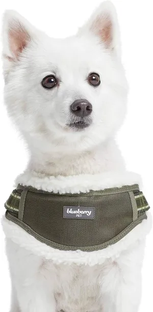 Blueberry Pet Soft & Comfy Multi-Colored Stripe Fleece Padded Chest Dog Harness, Chest Girth 16.5" - 21", Olive Green, Small, Adjustable No Pull Training Harness for Dogs
