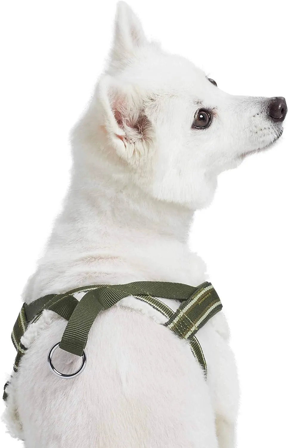 Blueberry Pet Soft & Comfy Multi-Colored Stripe Fleece Padded Chest Dog Harness, Chest Girth 16.5" - 21", Olive Green, Small, Adjustable No Pull Training Harness for Dogs