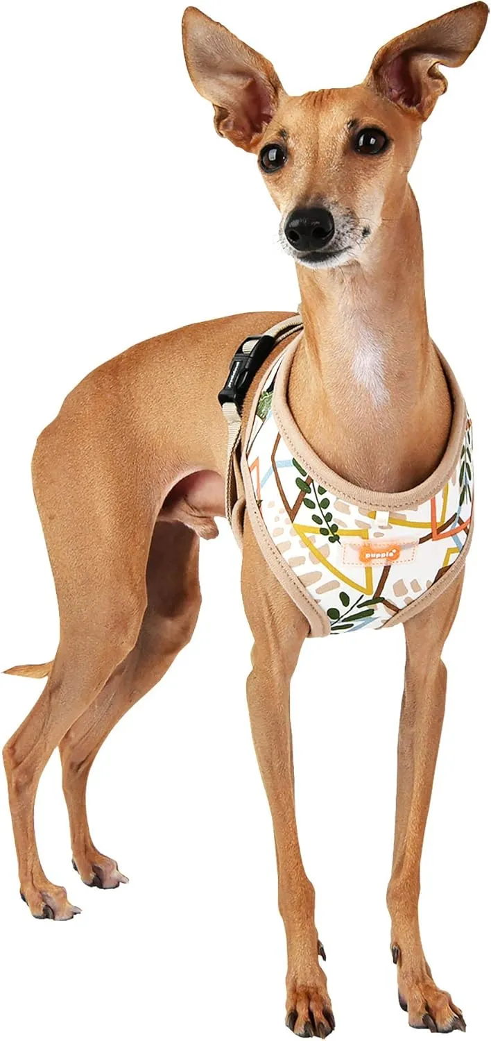 Botanical Harness A - Beige - M
