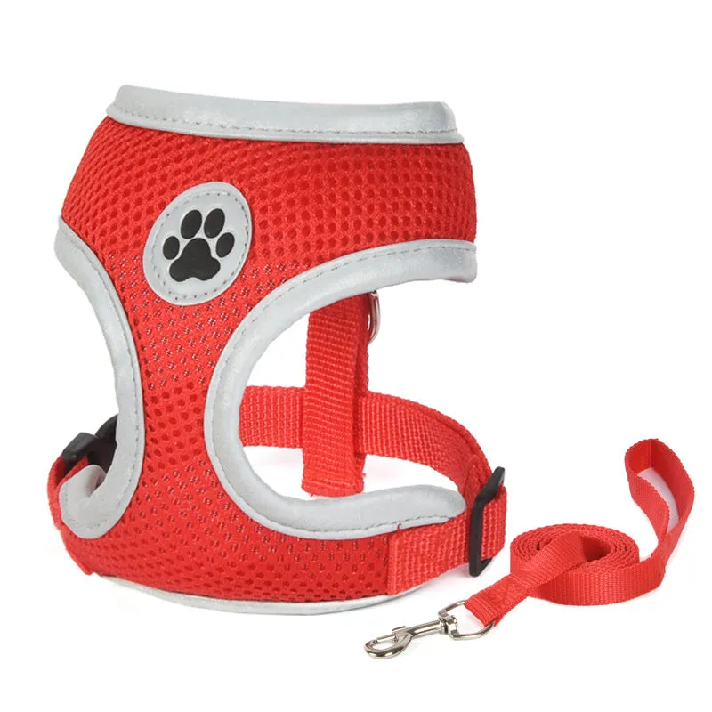 Breathable French Bulldog Harness