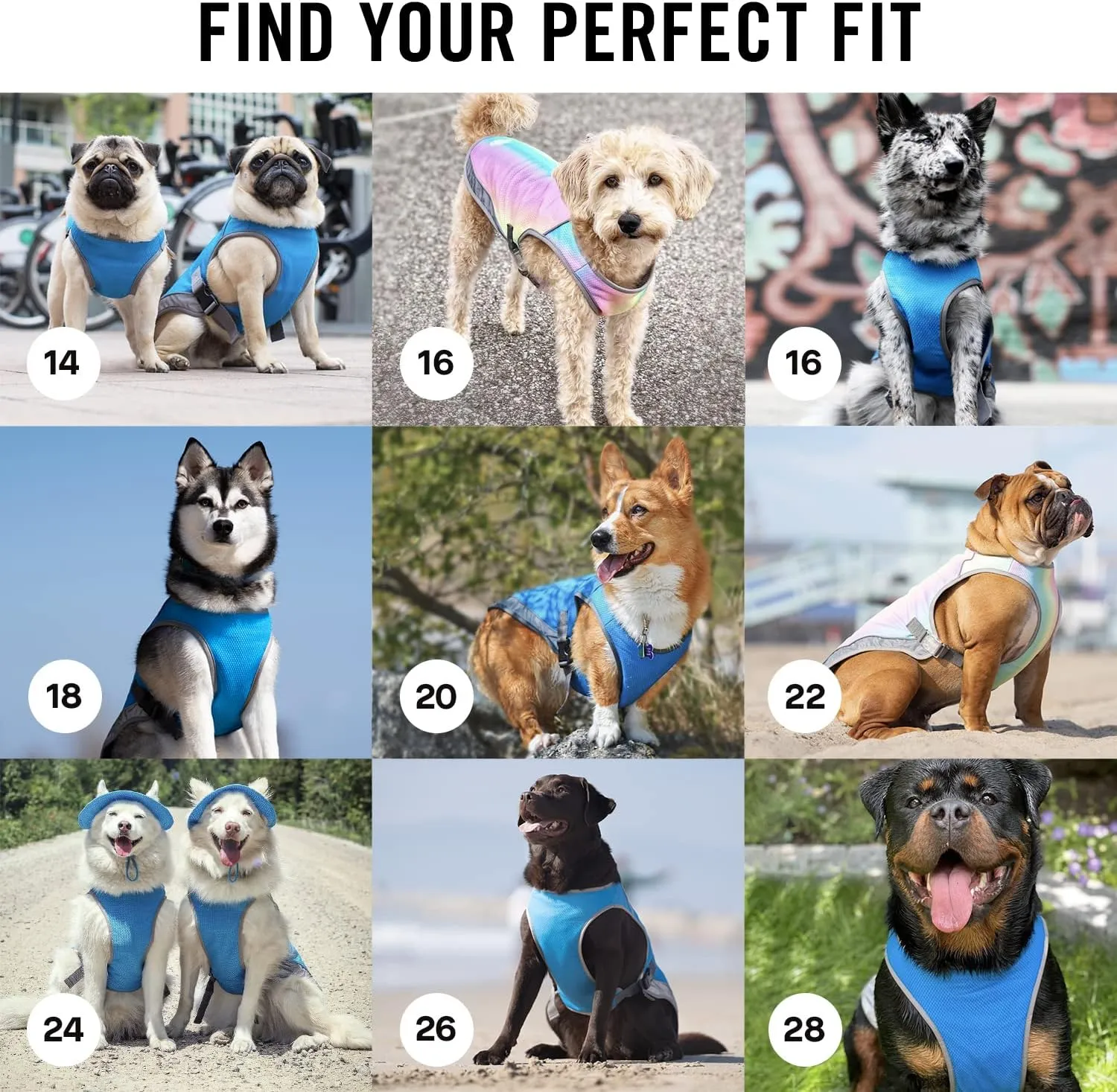 Canada Pooch Dog Cooling Vest - Evaporative Cooling Vest for Dogs with Breathable Mesh Material & Reflective Lining, Adjustable Dog Cooling Vest Great for Dogs 16 (15-17" Back Length), Aqua