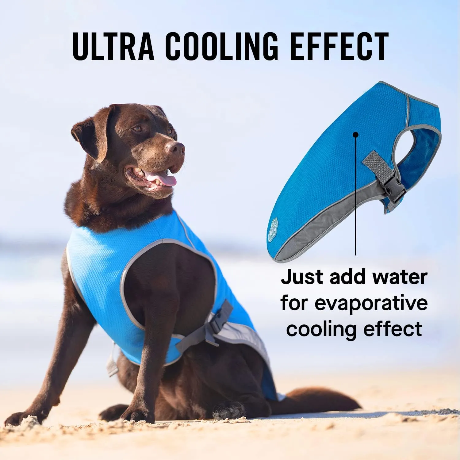 Canada Pooch Dog Cooling Vest - Evaporative Cooling Vest for Dogs with Breathable Mesh Material & Reflective Lining, Adjustable Dog Cooling Vest Great for Dogs 16 (15-17" Back Length), Aqua