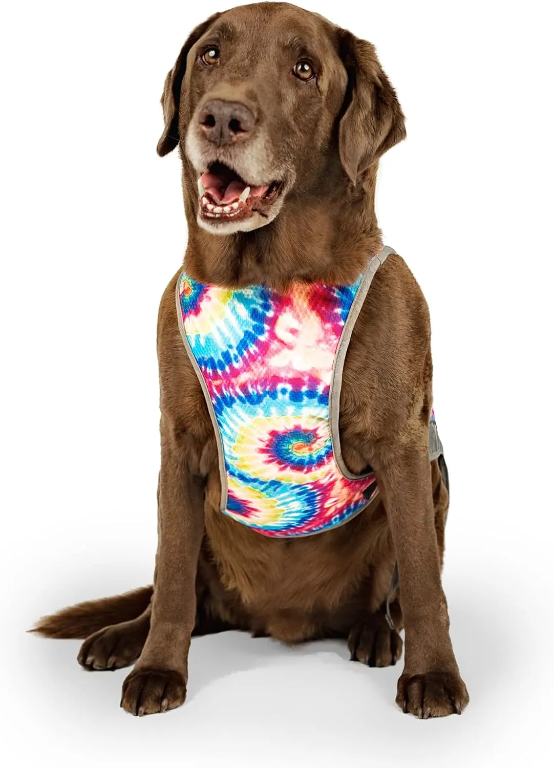 Canada Pooch Dog Cooling Vest - Evaporative Cooling Vest for Dogs with Breathable Mesh Material & Reflective Lining, Adjustable Dog Cooling Vest Great for Dogs 16 (15-17" Back Length), Tie Dye