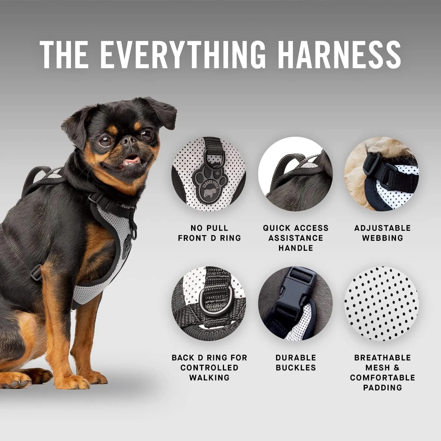 Canada Pooch Everything No Pull Dog Harness - Easy Walk Harness for Dogs with Breathable Mesh Exterior, Adjustable Dog Walking Harness Great for Dogs Reflective/L