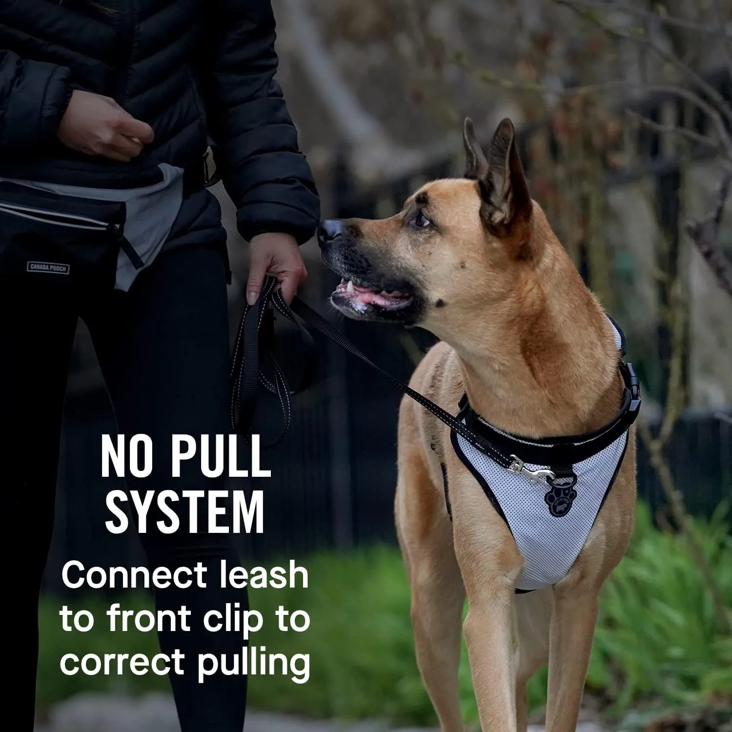 Canada Pooch Everything No Pull Dog Harness - Easy Walk Harness for Dogs with Breathable Mesh Exterior, Adjustable Dog Walking Harness Great for Dogs Reflective/L