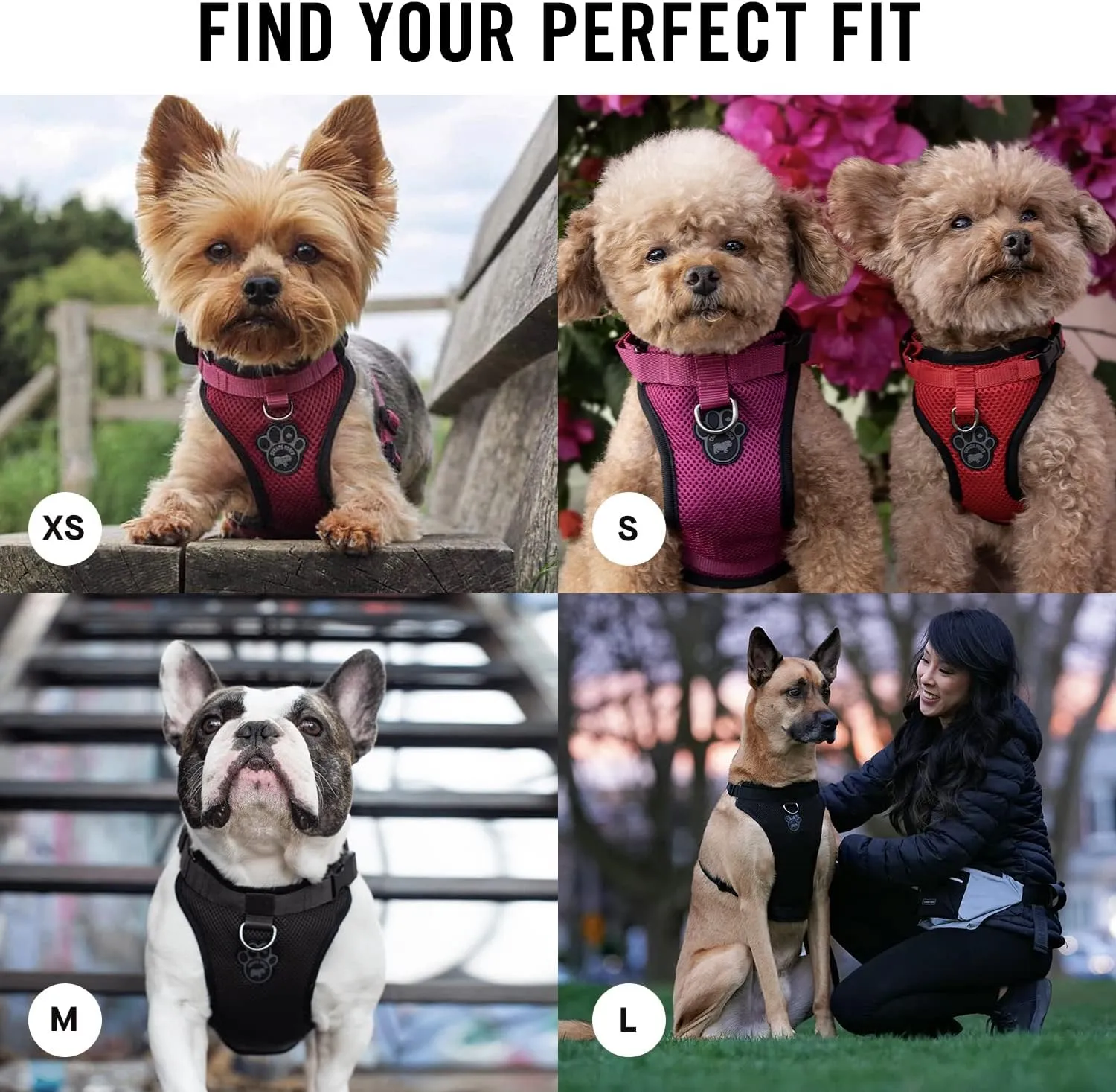 Canada Pooch Everything No Pull Dog Harness - Easy Walk Harness for Dogs with Breathable Mesh Exterior, Adjustable Dog Walking Harness Great for Dogs Reflective/L