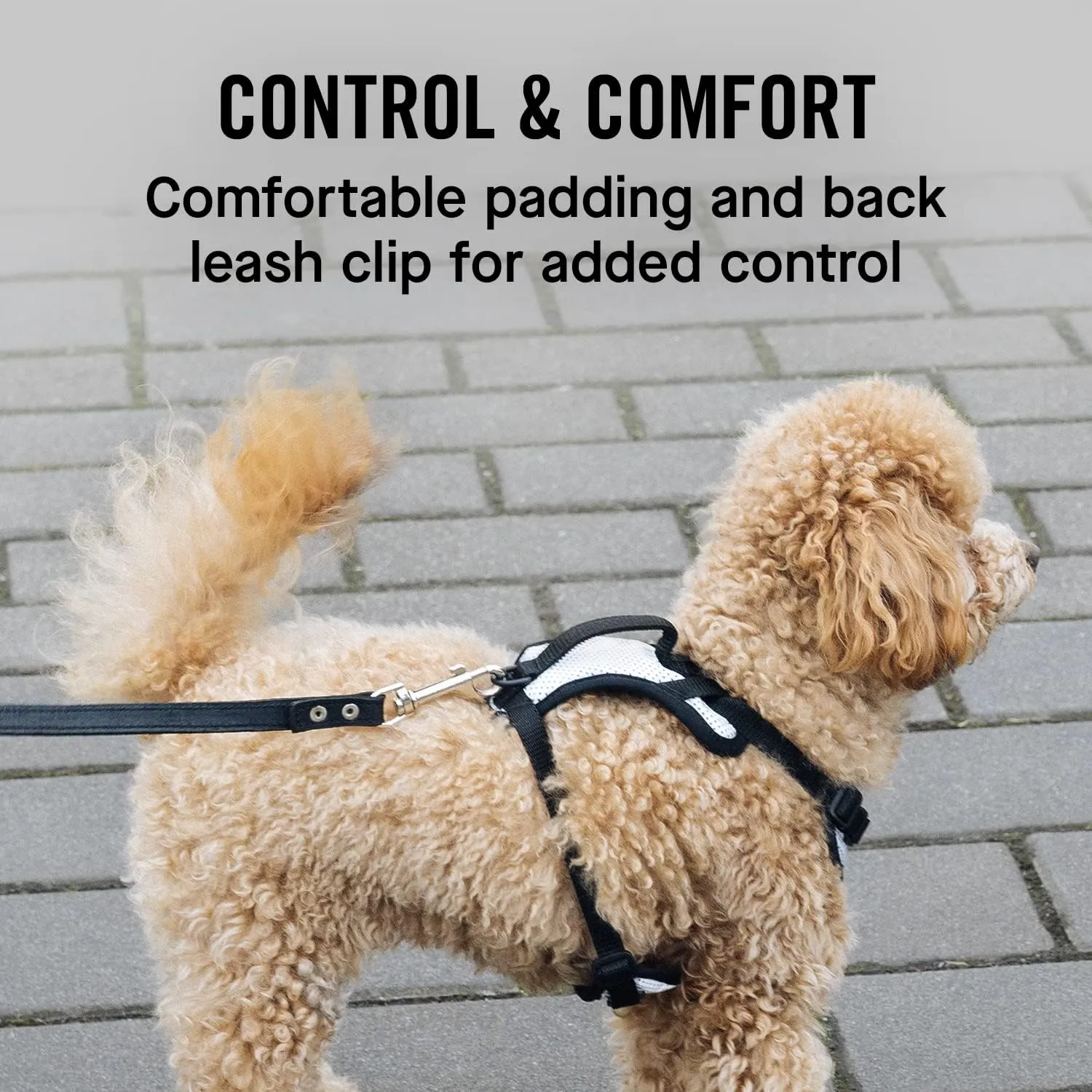 Canada Pooch Everything No Pull Dog Harness - Easy Walk Harness for Dogs with Breathable Mesh Exterior, Adjustable Dog Walking Harness Great for Dogs Reflective/L