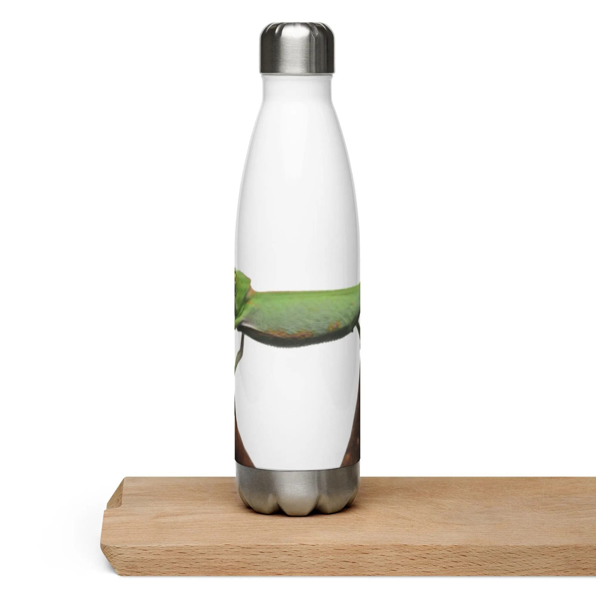 Chameleon Water Bottle