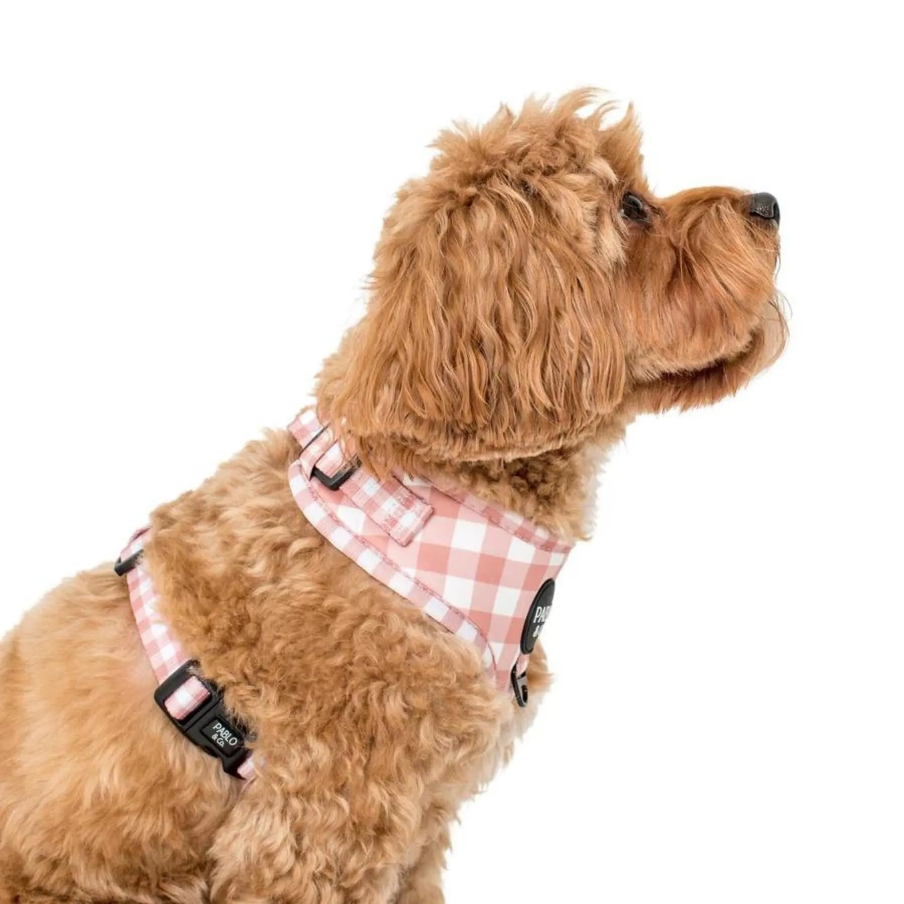 Chocolate Gingham Adjustable Harness