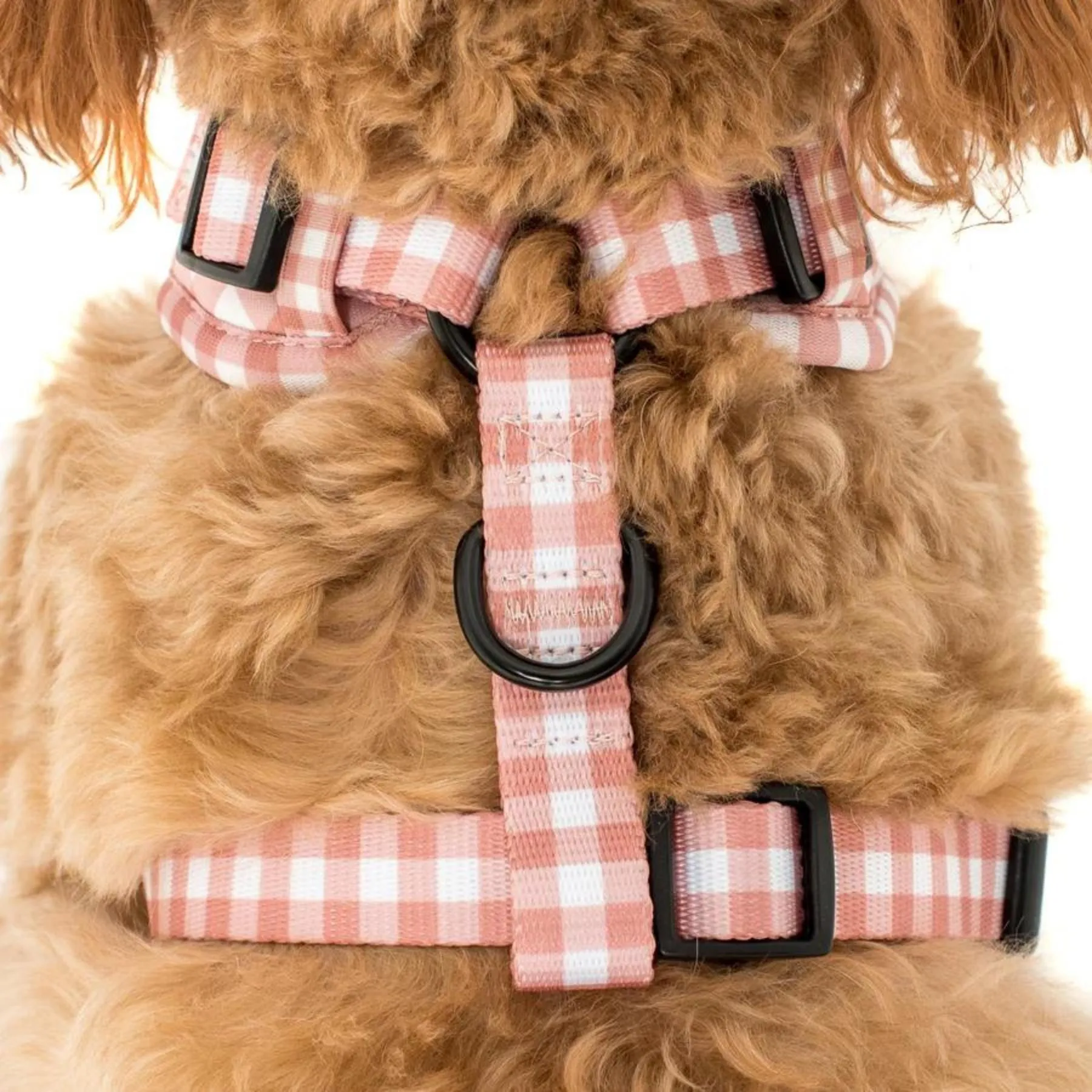 Chocolate Gingham Adjustable Harness