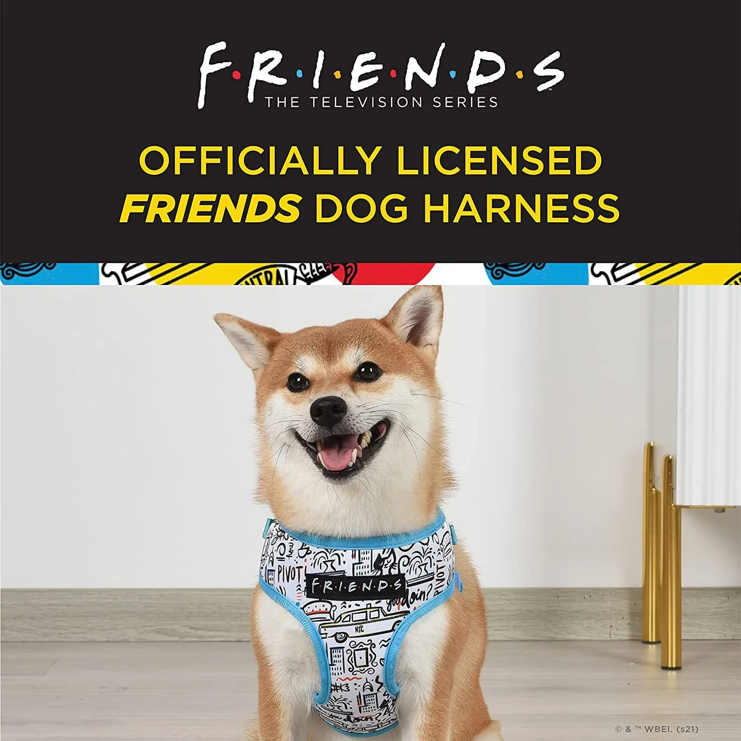 City Doodle Dog Harness for Small Dogs, Small (S) | Blue Small Dog Harness, No Pull Dog Harness with D-Ring | Machine Washable Friends Merch for Dogs from Friends TV Show