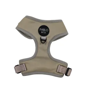 Crayon Adjustable Dog Harness