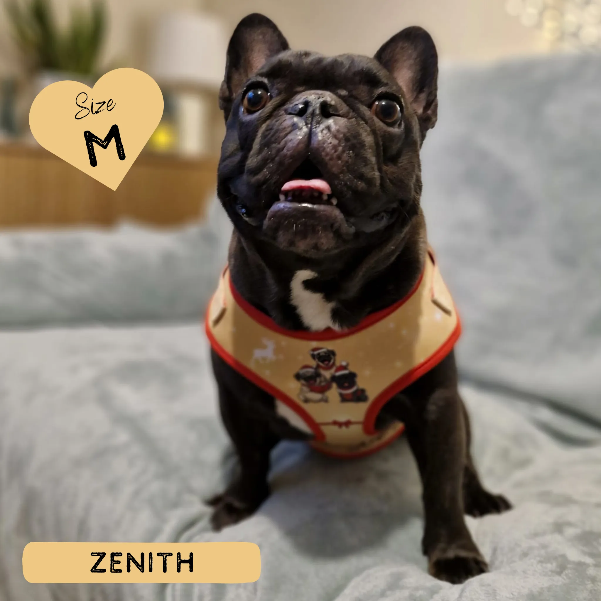Dog Adjustable Harness - A Pugmas Carol
