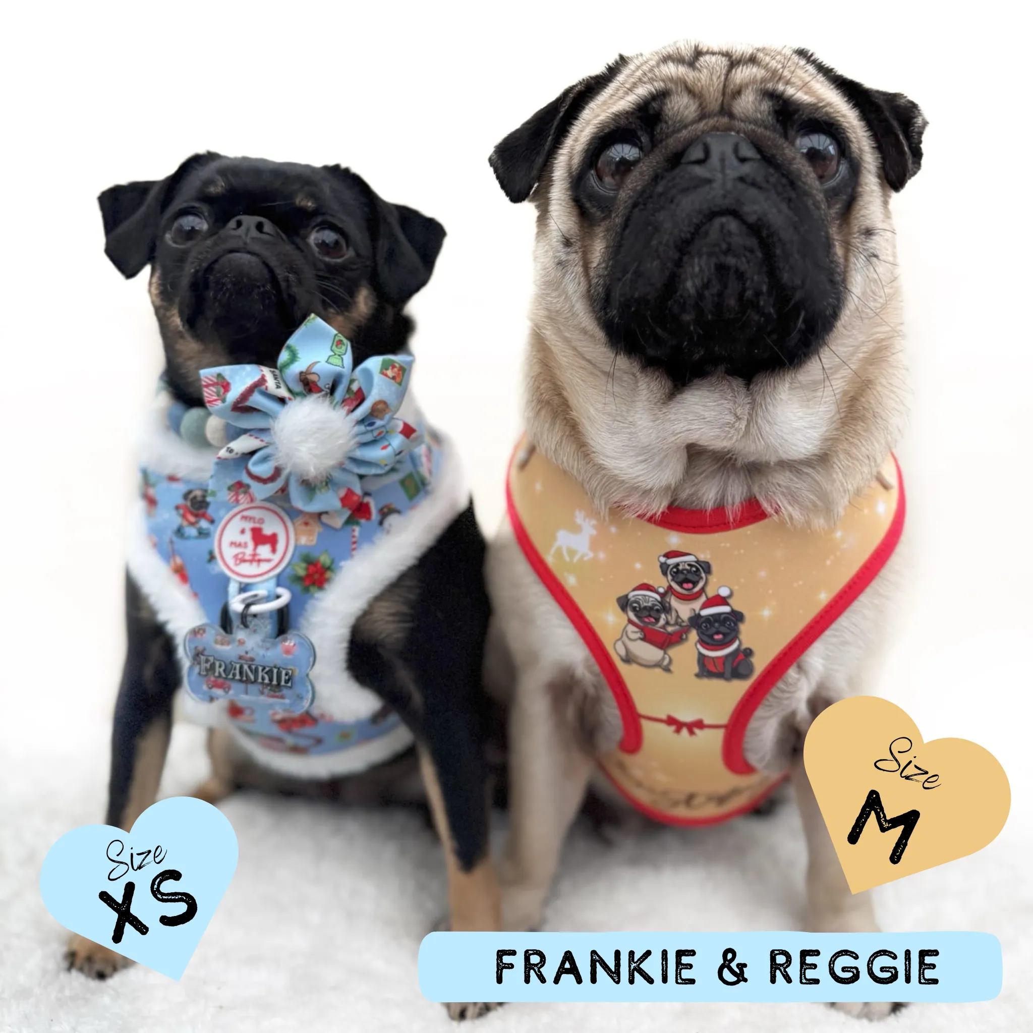 Dog Adjustable Harness - A Pugmas Carol