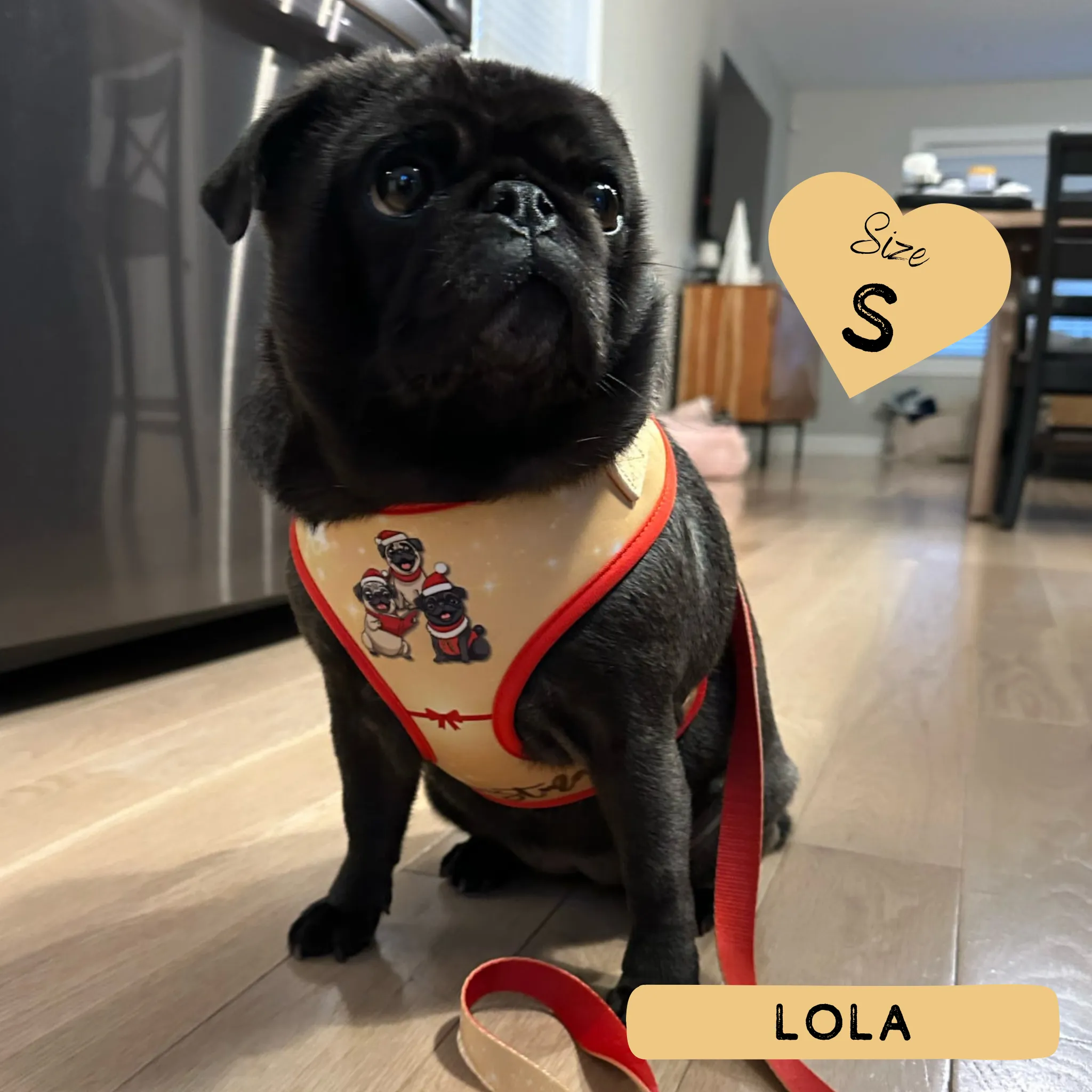 Dog Adjustable Harness - A Pugmas Carol