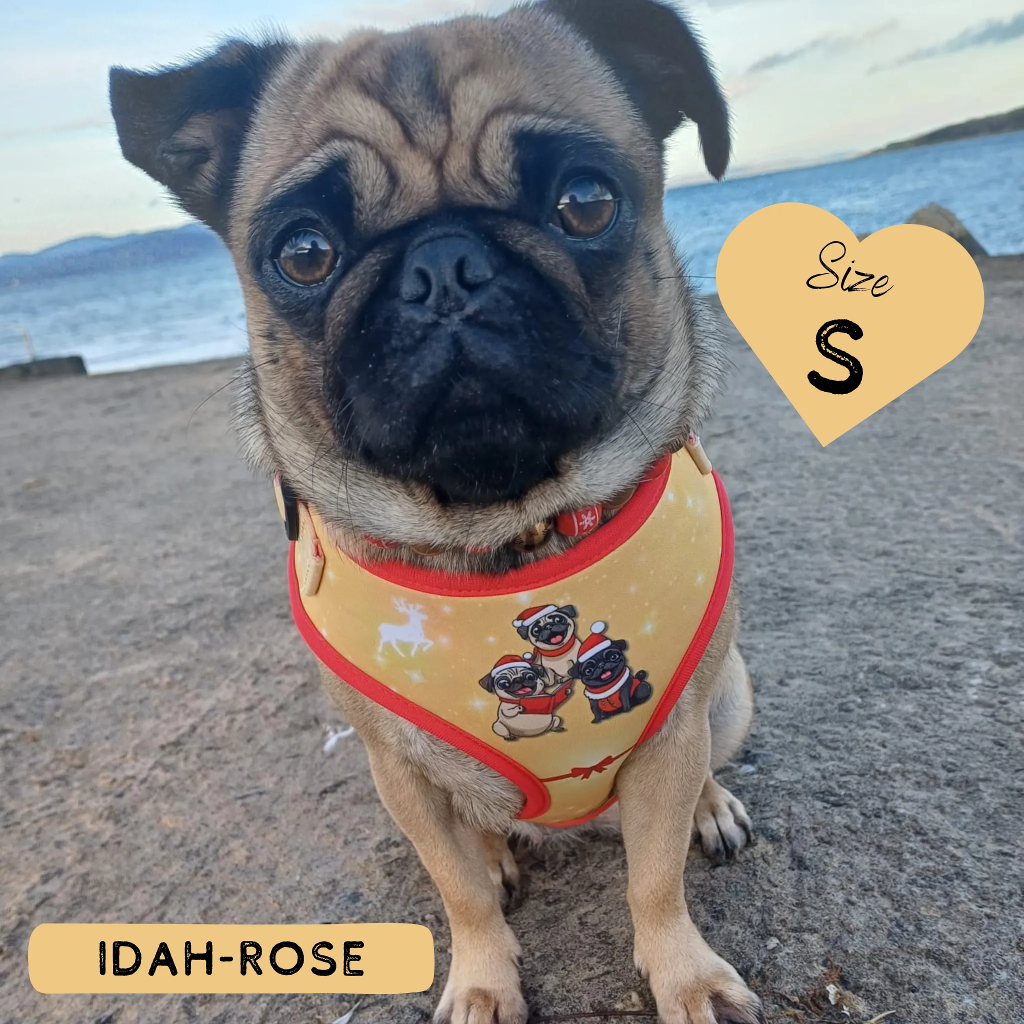 Dog Adjustable Harness - A Pugmas Carol