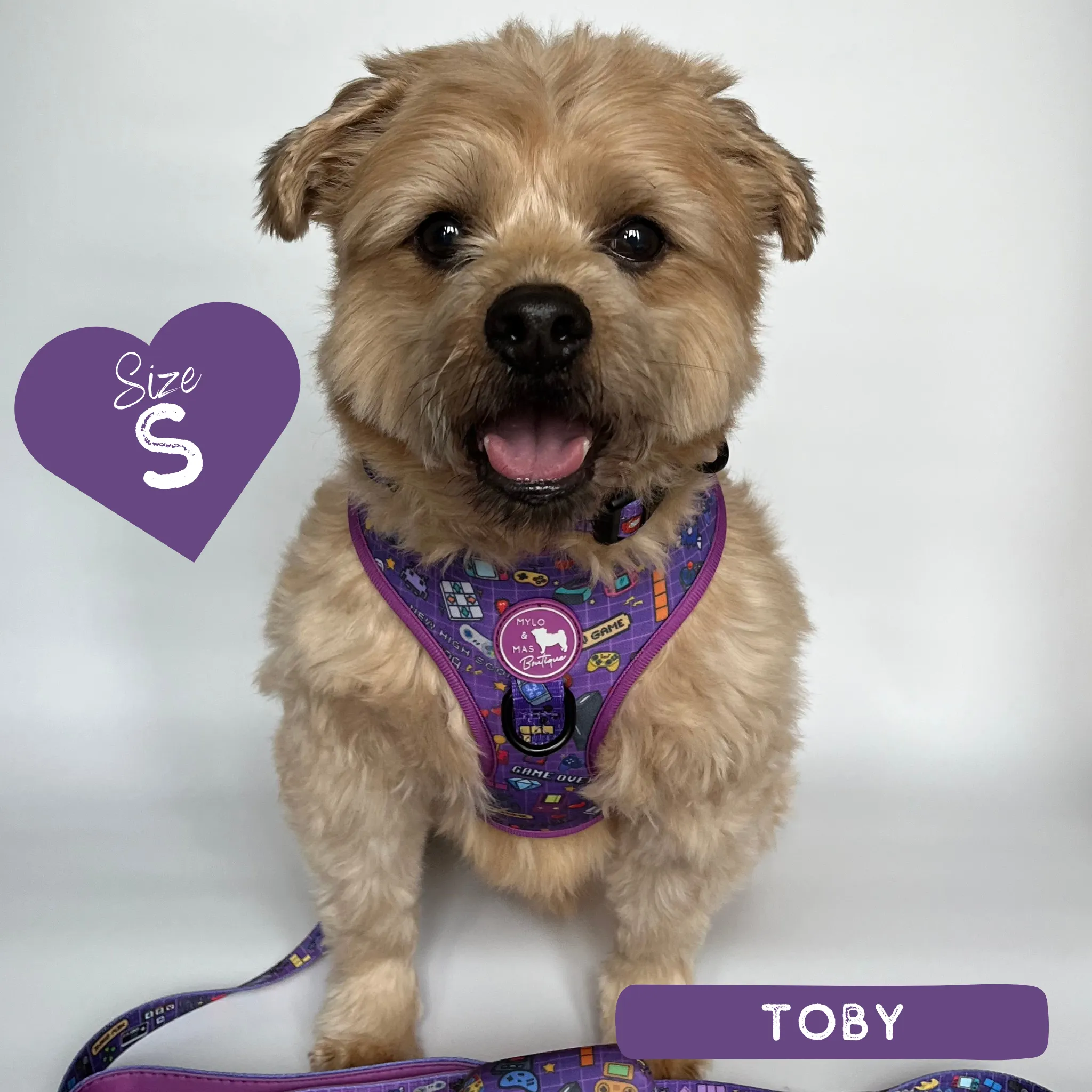 Dog Adjustable Harness - Level Pup