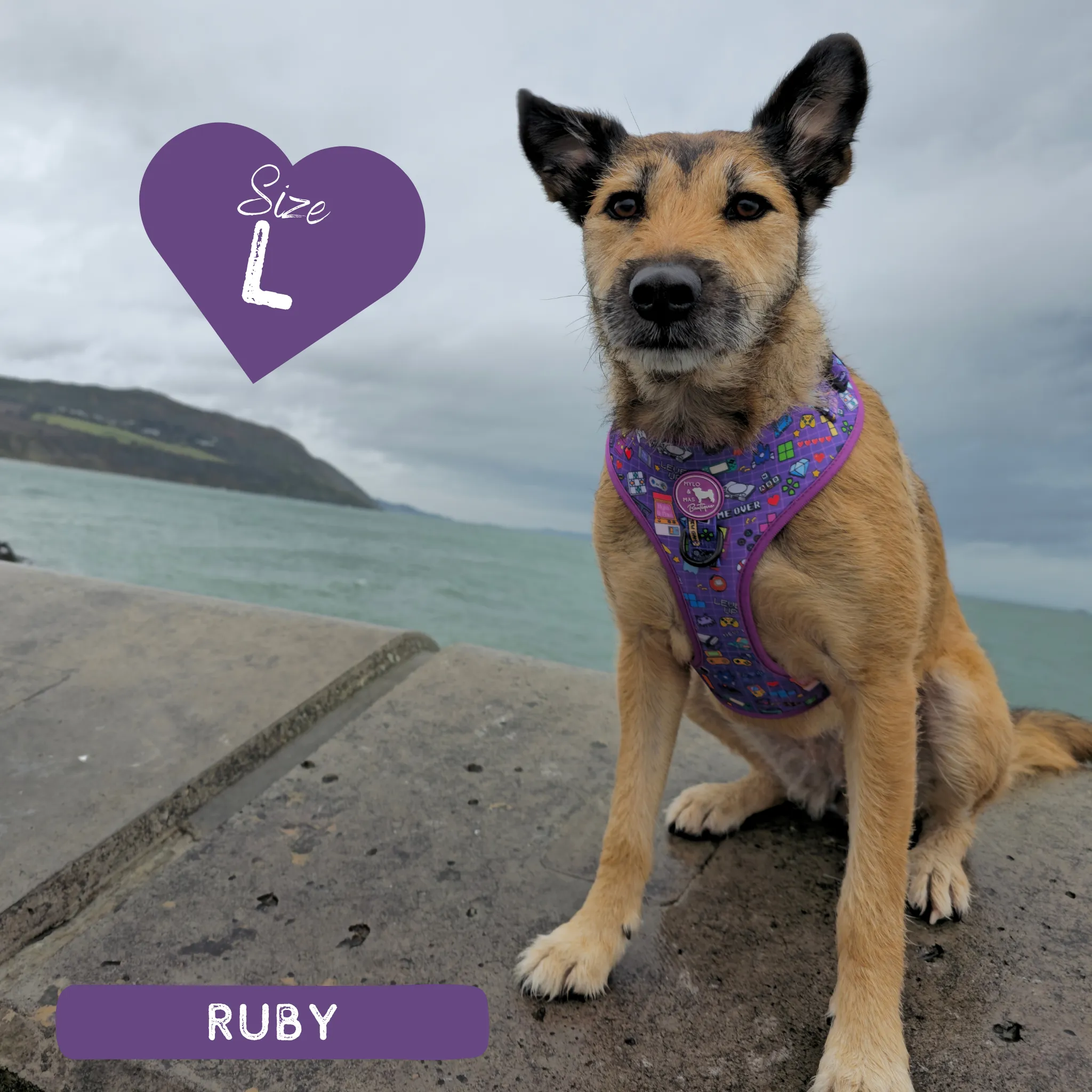 Dog Adjustable Harness - Level Pup