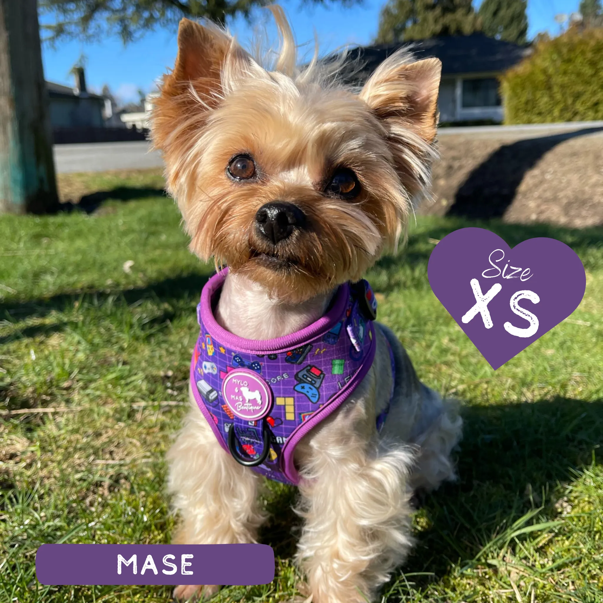 Dog Adjustable Harness - Level Pup