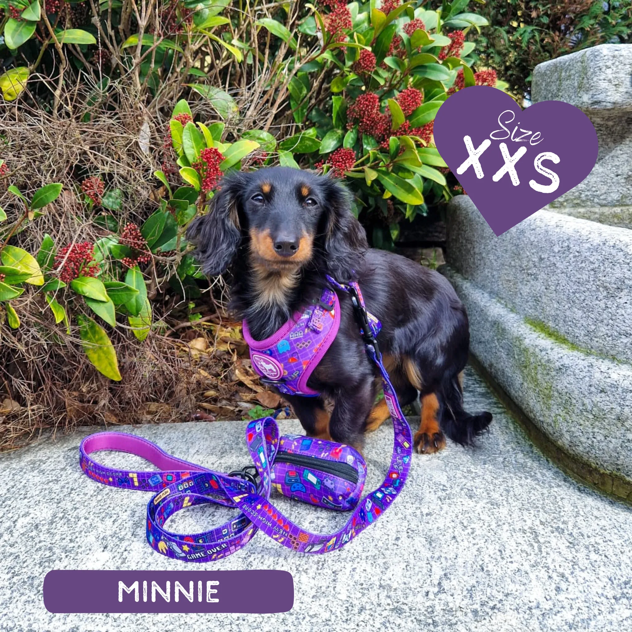 Dog Adjustable Harness - Level Pup
