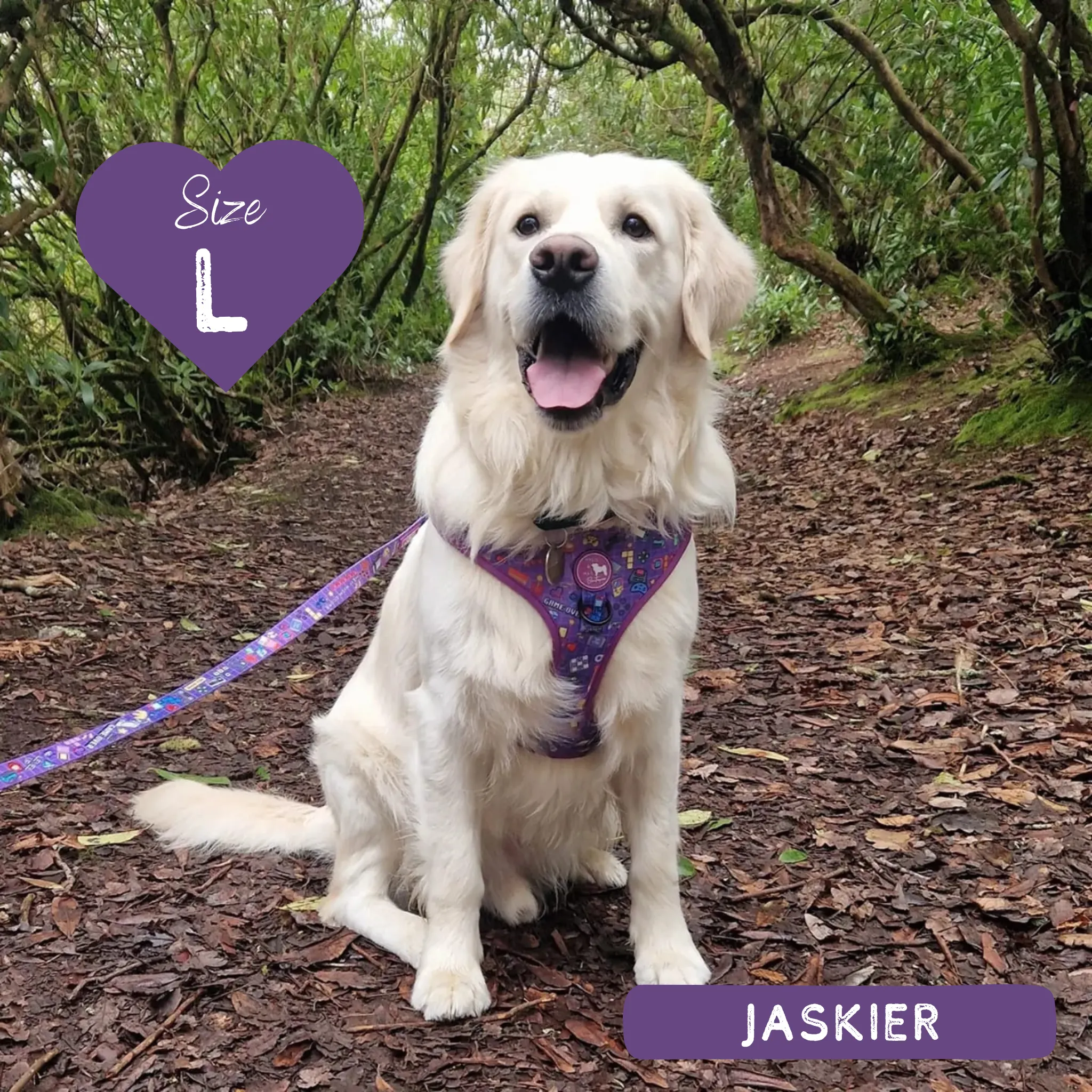 Dog Adjustable Harness - Level Pup