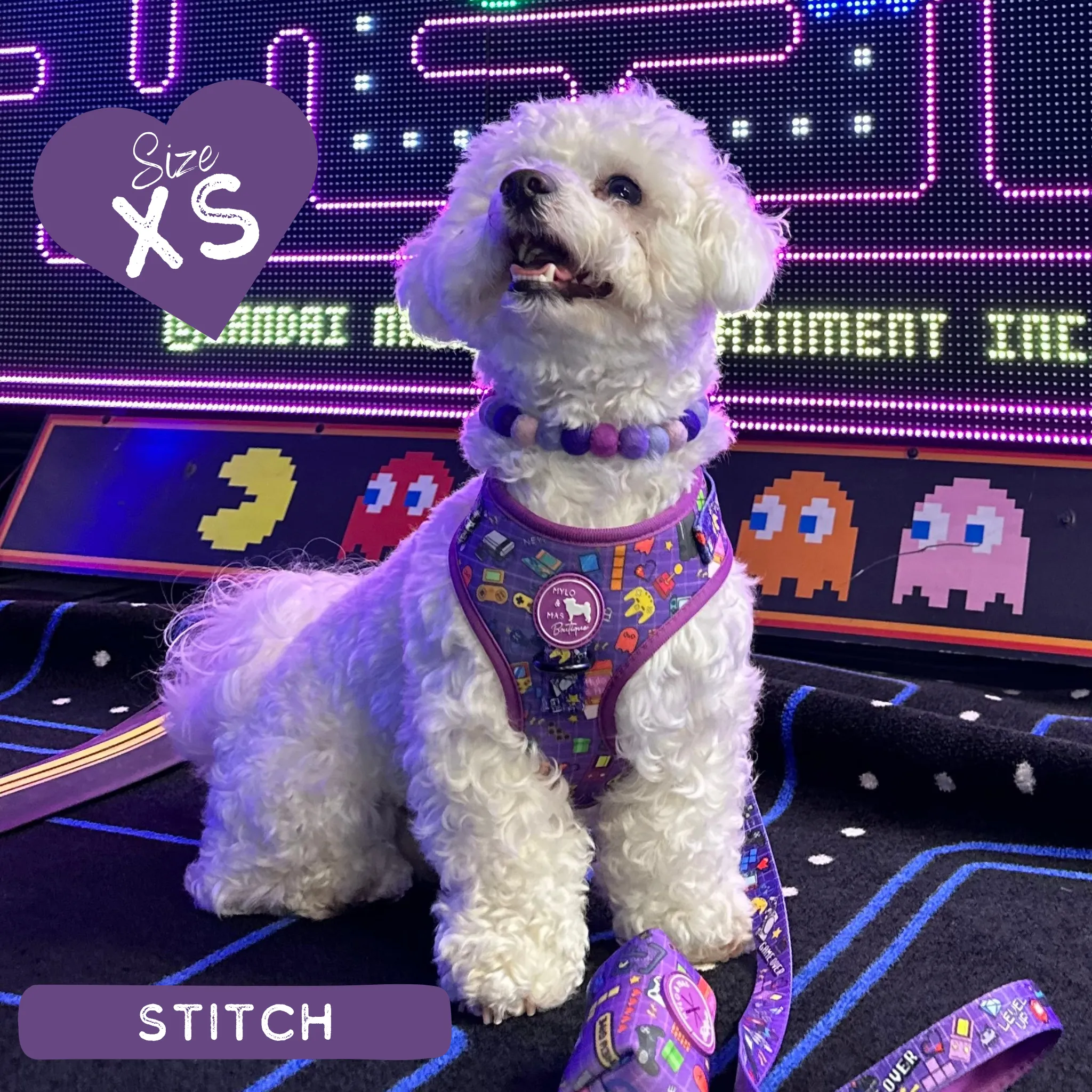 Dog Adjustable Harness - Level Pup
