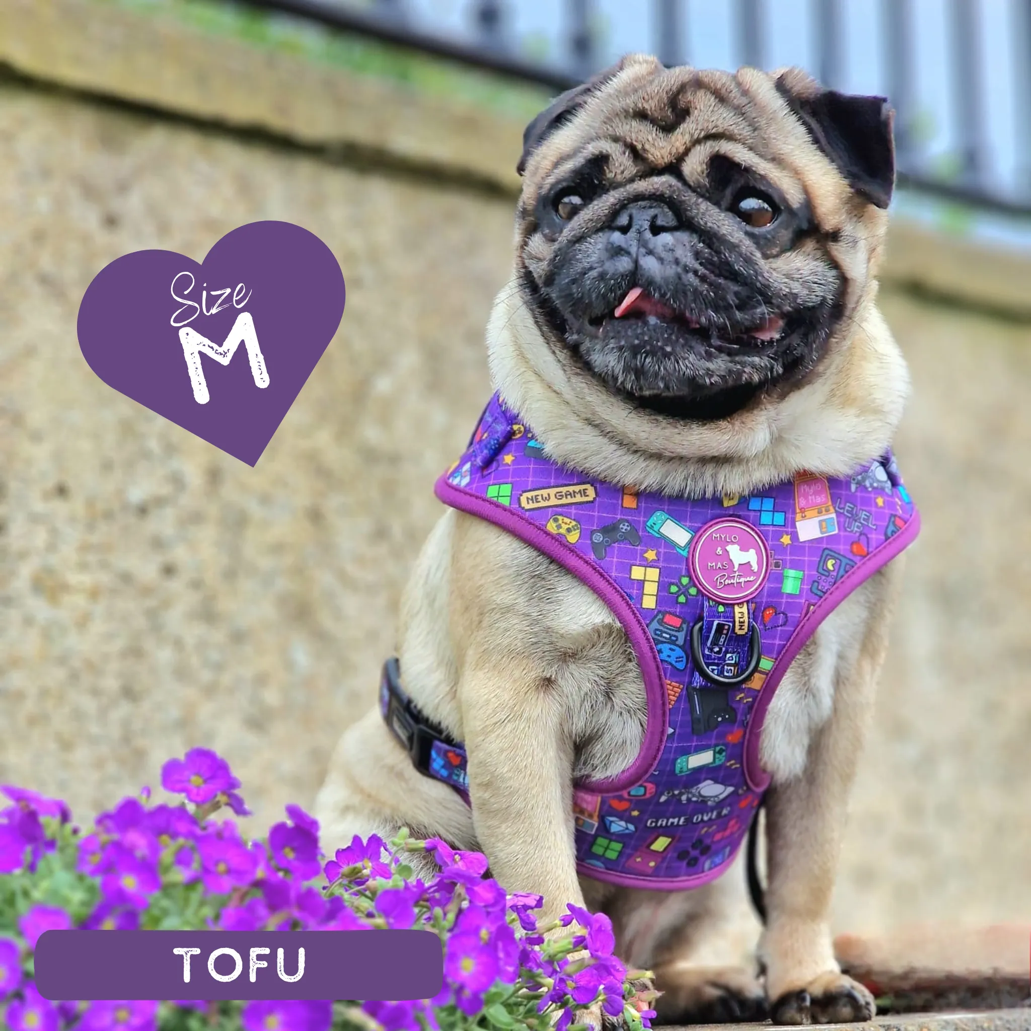 Dog Adjustable Harness - Level Pup